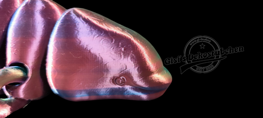 3D Flexi Orca Choice