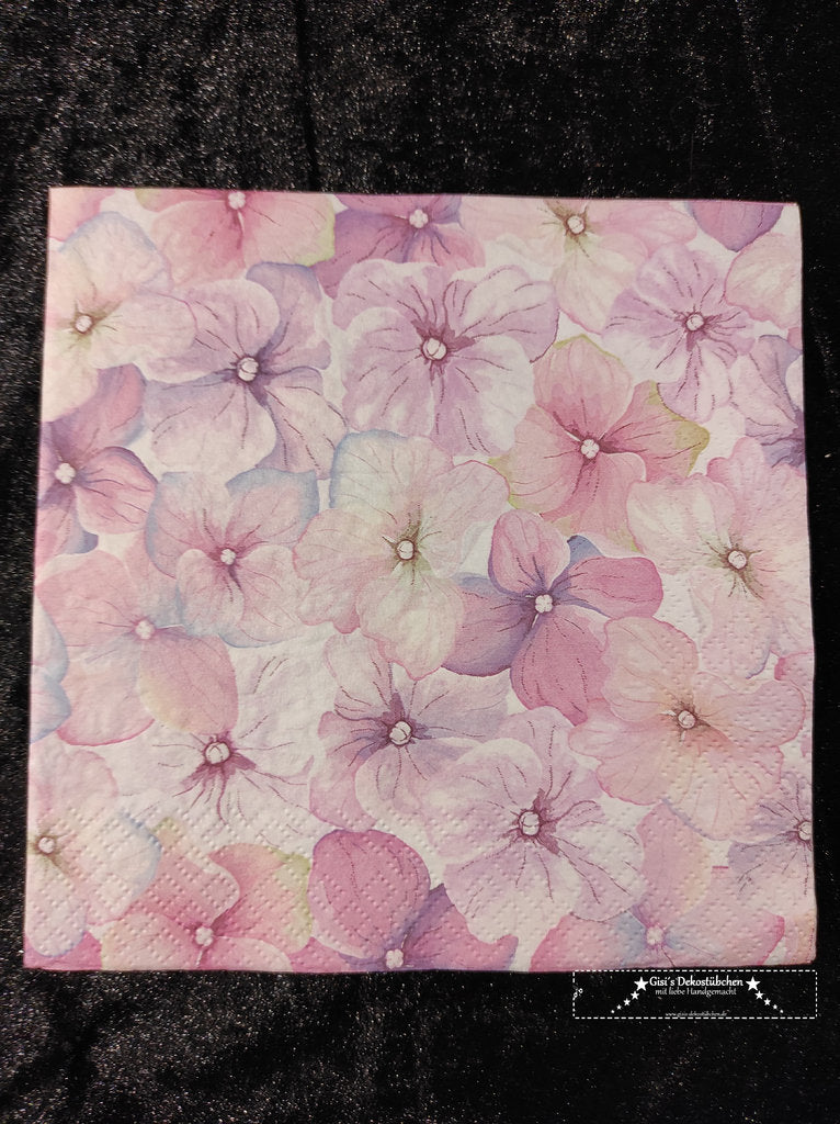 Flowers delicate violets pink