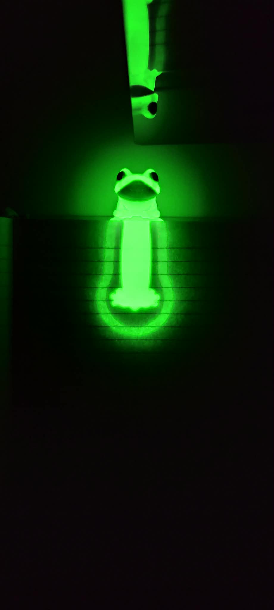 Nachtleuchtendes 3D-Lesezeichen Frosch