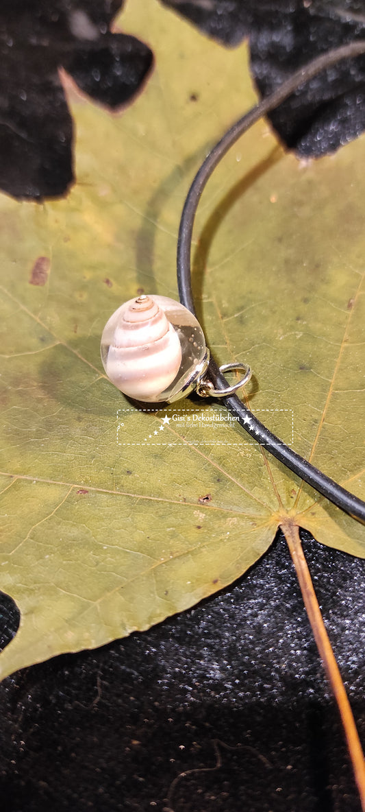 Jewelry necklace pendant bead shell gift nature