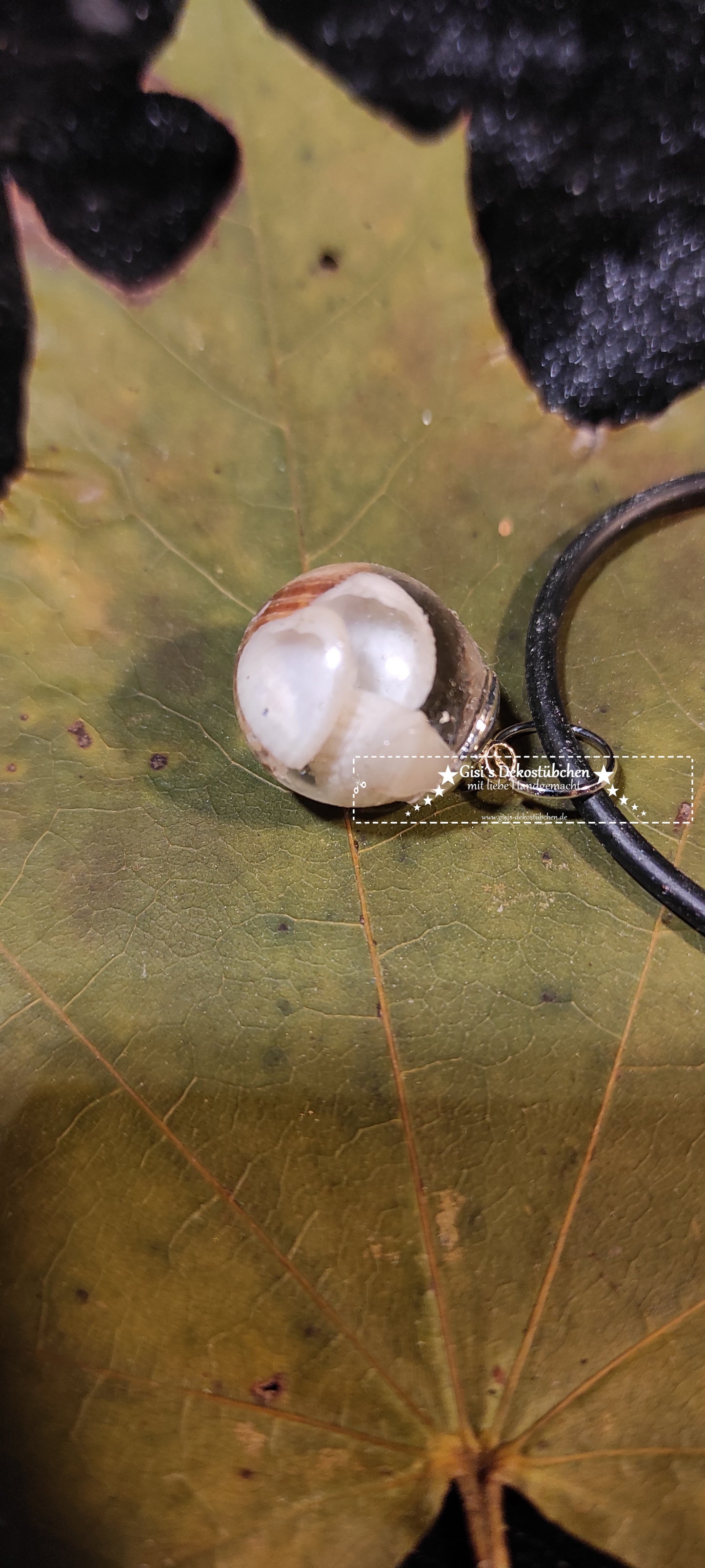 Jewelry necklace pendant bead shell gift nature