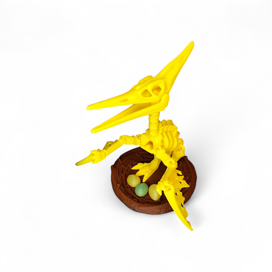 Skeleton Pteranodon with nest and eggs 3D