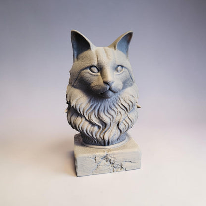 3D Maine Coon Büste – individuell personalisierbar