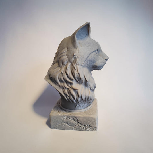 3D Maine Coon Büste – individuell personalisierbar