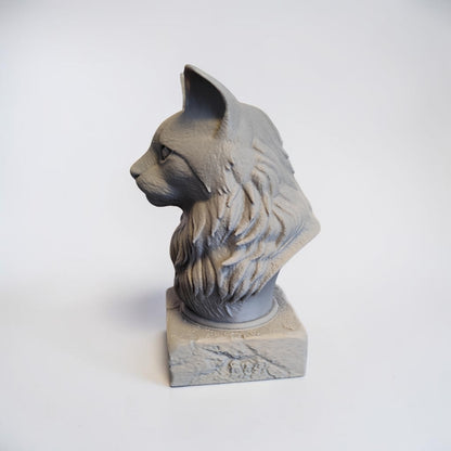 3D Maine Coon Büste – individuell personalisierbar