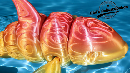 3D Orca Choice Sea Animal Underwater