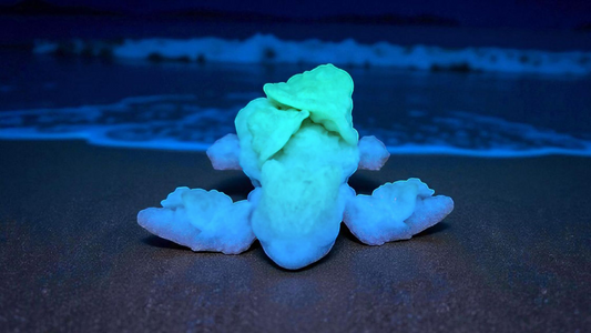 3D gedruckte Flexi-Schildkröte mit Pilz-Varianten | Wunschfarbe | Cinderwing3D