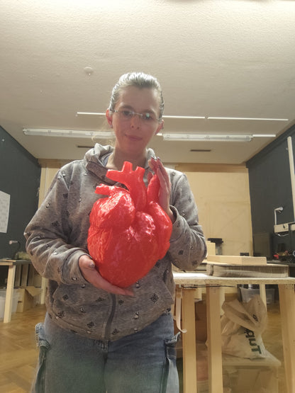 Anatomical Heart 3D Printed - Enlarged Anatomy Model Medical Decoration 19cm