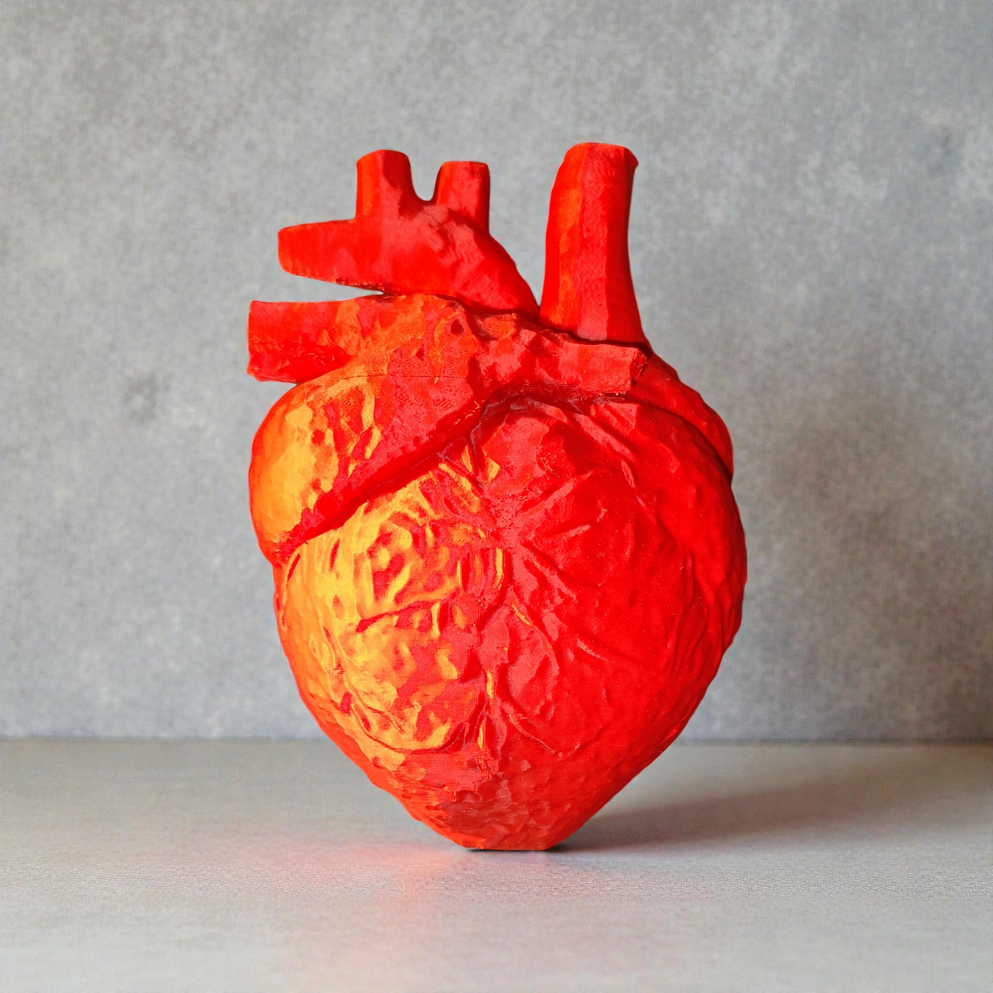 Anatomical Heart 3D Printed - Enlarged Anatomy Model Medical Decoration 19cm