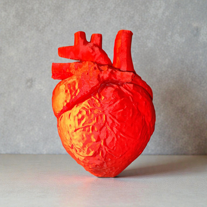 Anatomical Heart 3D Printed - Enlarged Anatomy Model Medical Decoration 19cm