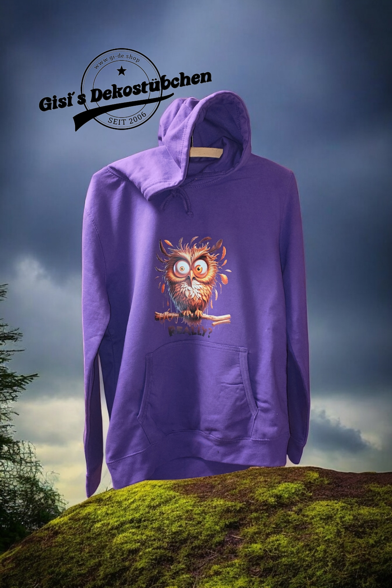 Owl Really? Hoodie 