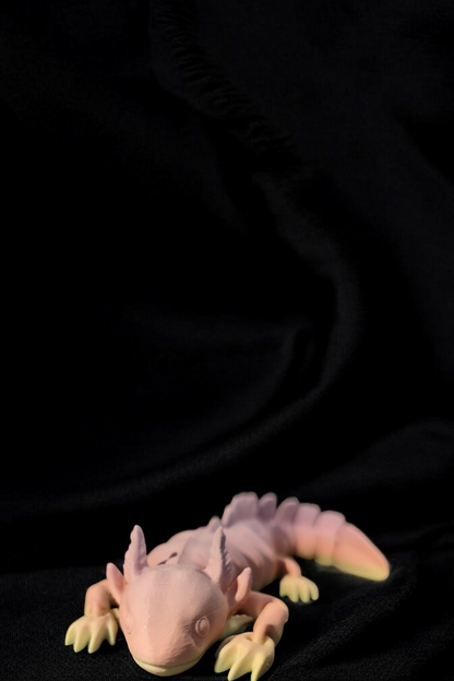 Flexi-Axolotl Your colorful companion