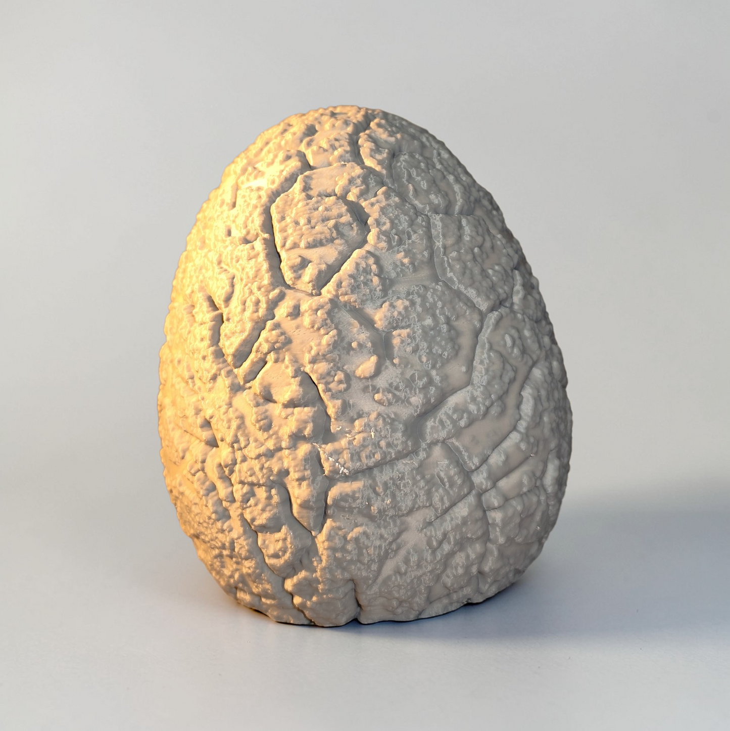 🦖 Large Dinosaur Egg Money Box “Petrified” | 3D Printed Piggy Bank for Dinosaur Fans