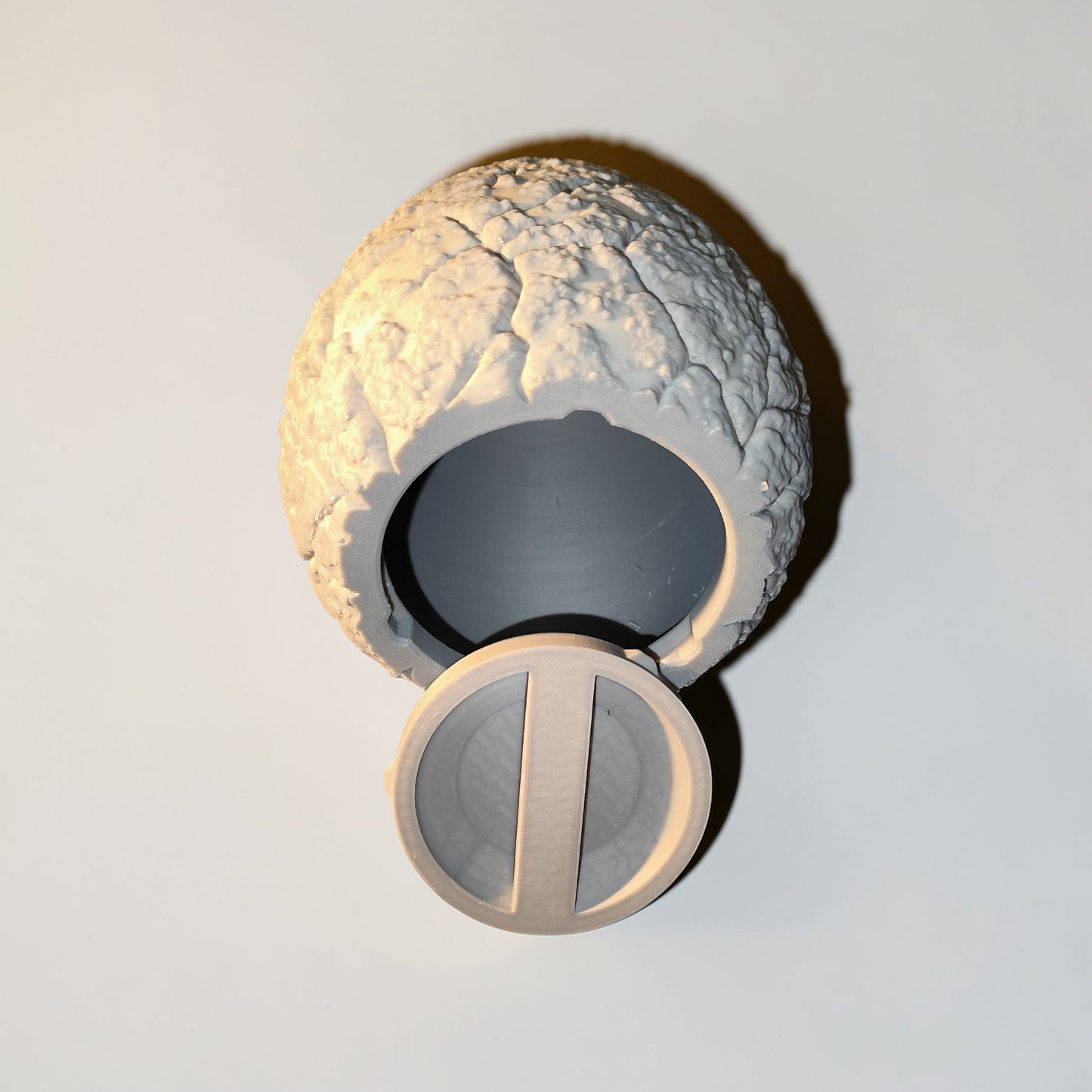 🦖 Large Dinosaur Egg Money Box “Petrified” | 3D Printed Piggy Bank for Dinosaur Fans