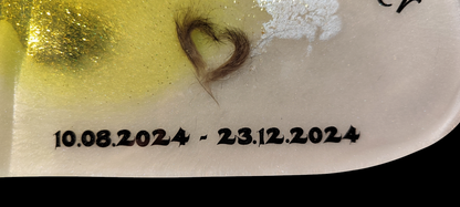 Heart to display with hair, tooth, ashes or claws, photo of your pet as a keepsake
