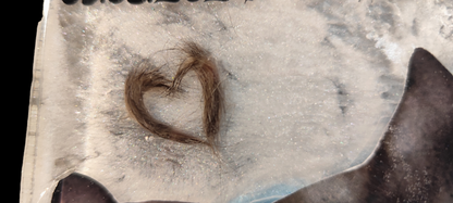 Heart to display with hair, tooth, ashes or claws, photo of your pet as a keepsake