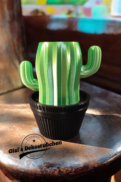Cactus pen holder for your desk!