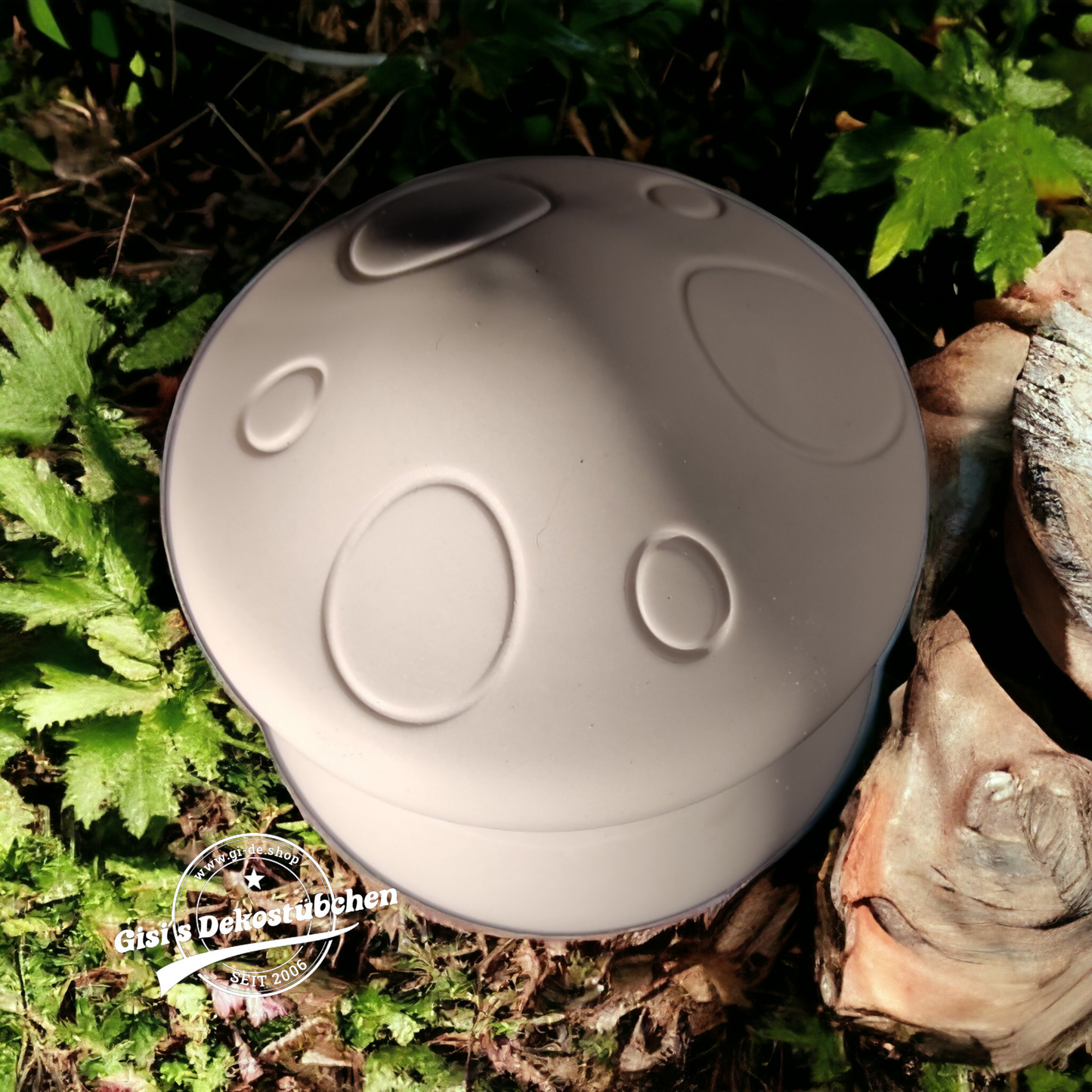 Ceramic, mushroom, tin, gift packaging, jewelry box