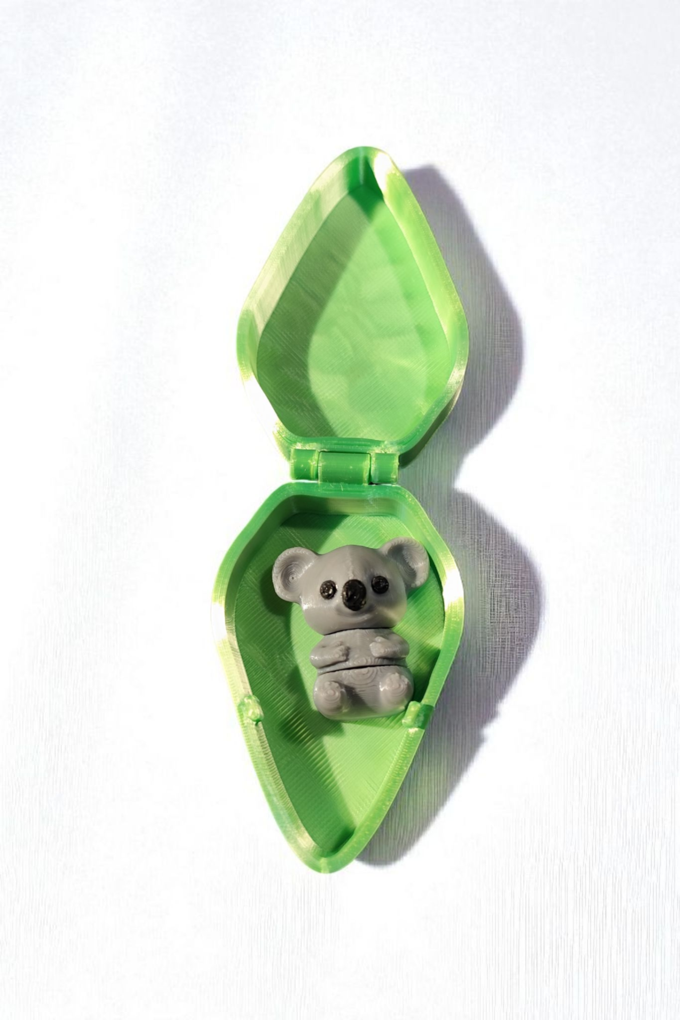 Koala with eucalyptus box