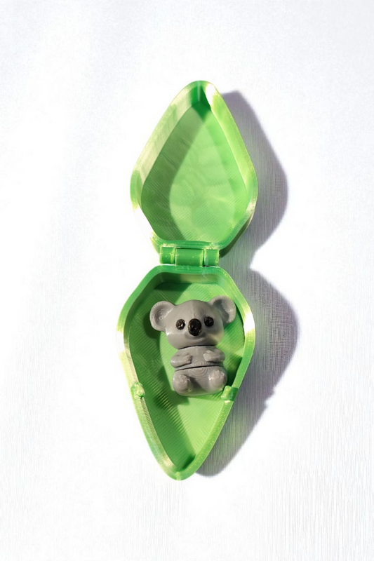 Koala with eucalyptus box