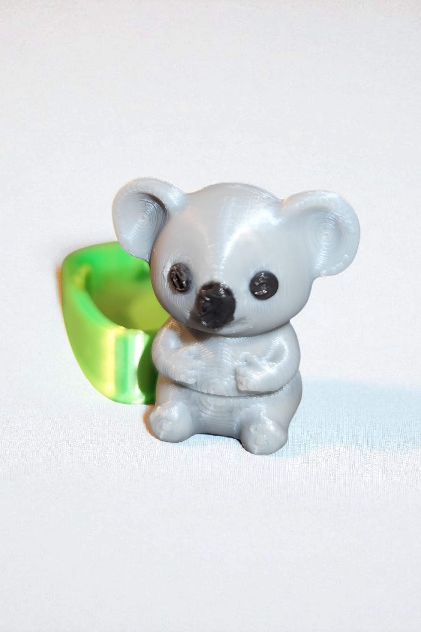 Koala with eucalyptus box