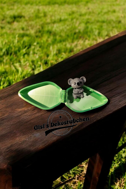 Koala with eucalyptus box