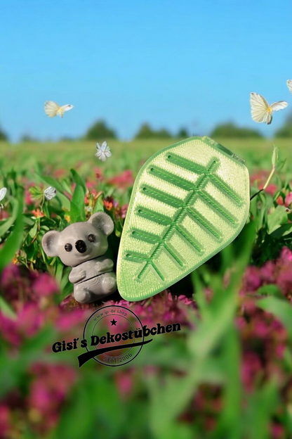 Koala with eucalyptus box