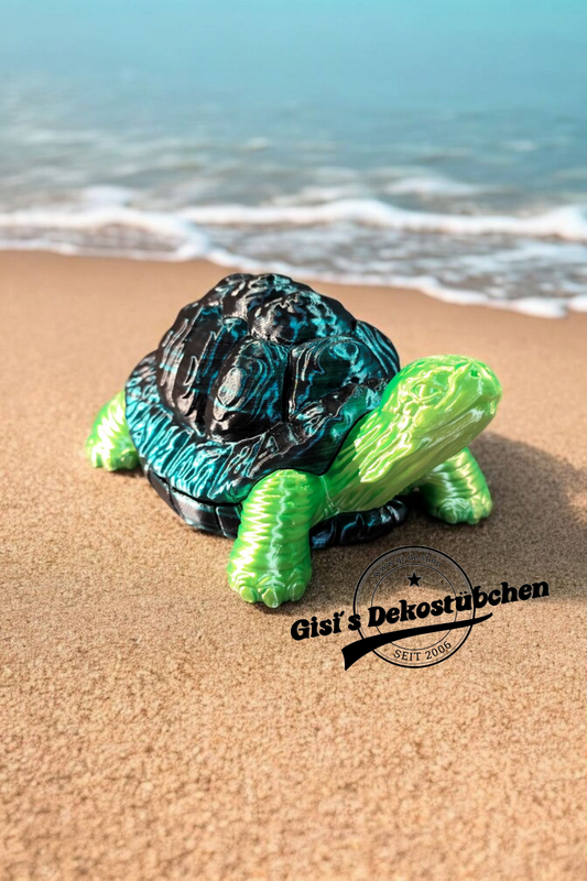 Turtle with secret shell