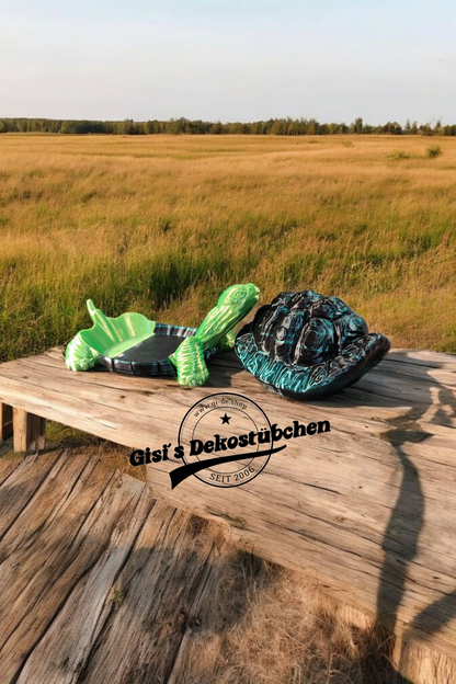 Turtle with secret shell