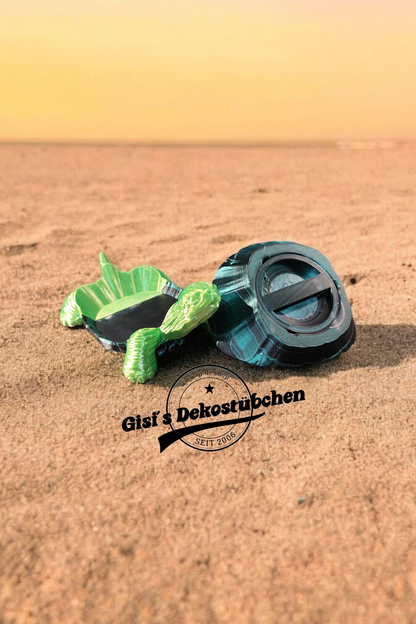 Turtle with secret shell