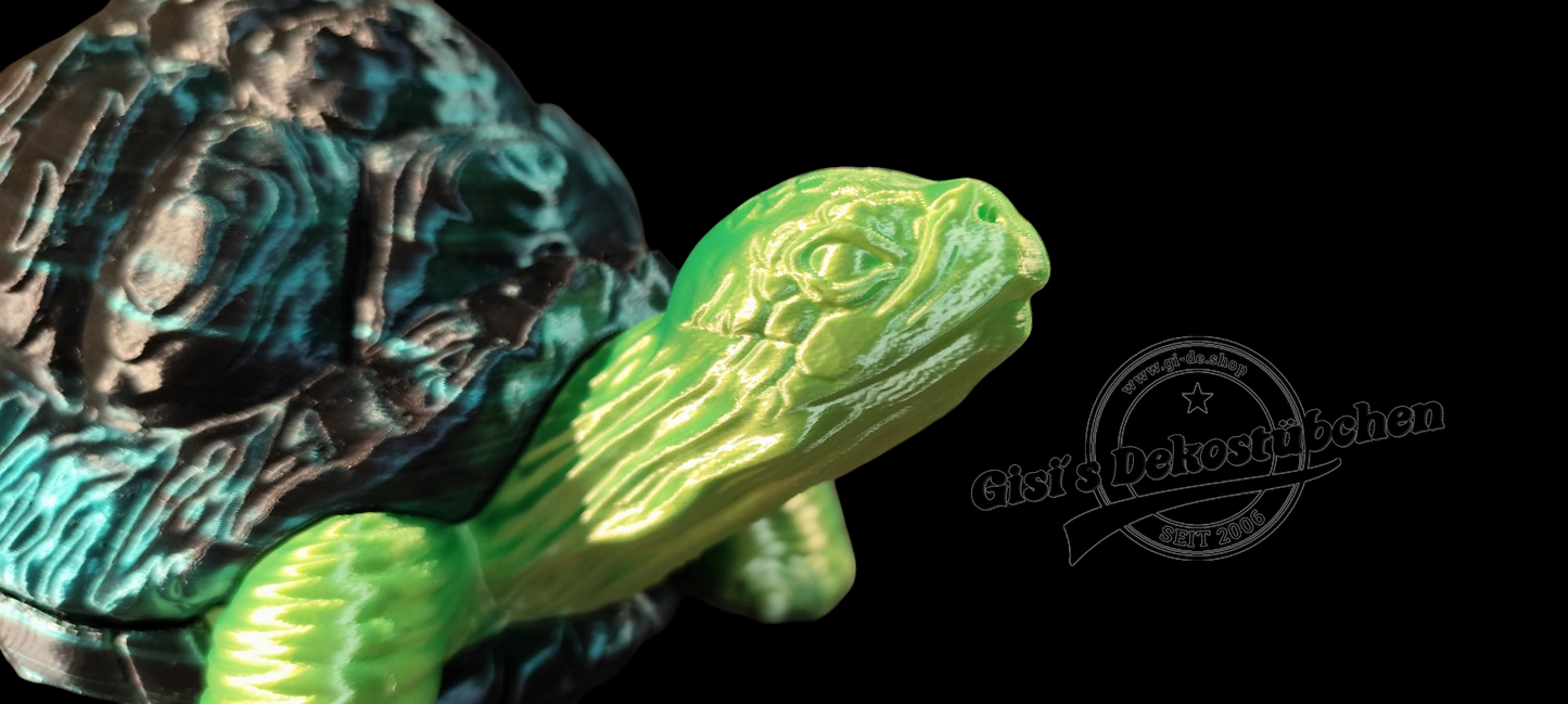 Turtle with secret shell