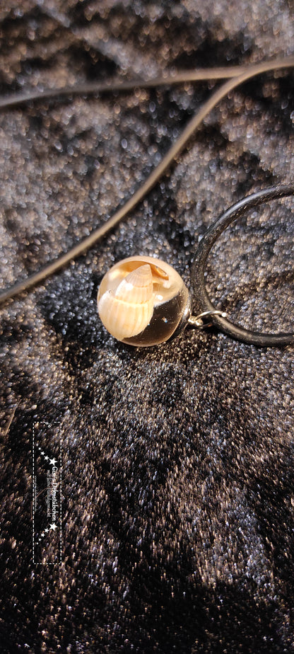 Jewelry necklace pendant bead shell gift nature