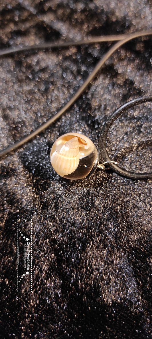 Jewelry necklace pendant bead shell gift nature
