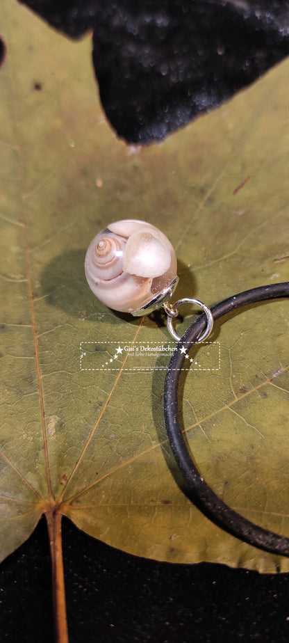 Jewelry necklace pendant bead shell gift nature