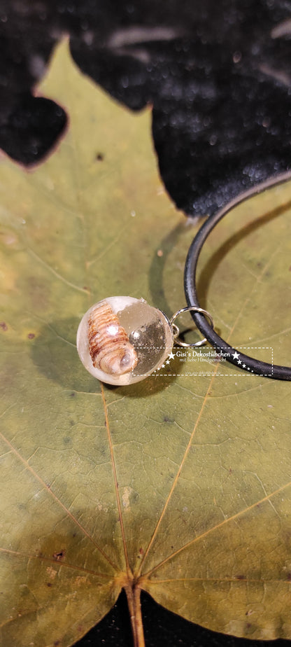 Jewelry necklace pendant bead shell gift nature