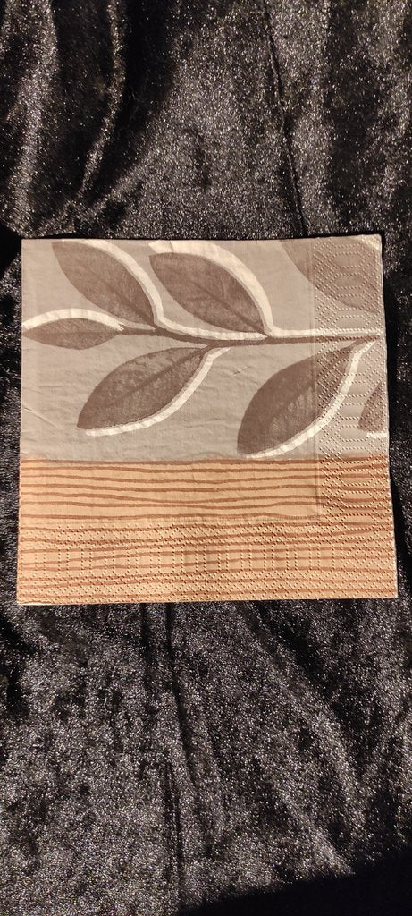 Napkins Branch brown gray