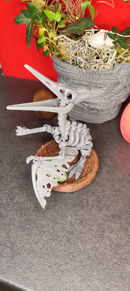 Skeleton Pteranodon with nest and eggs 3D