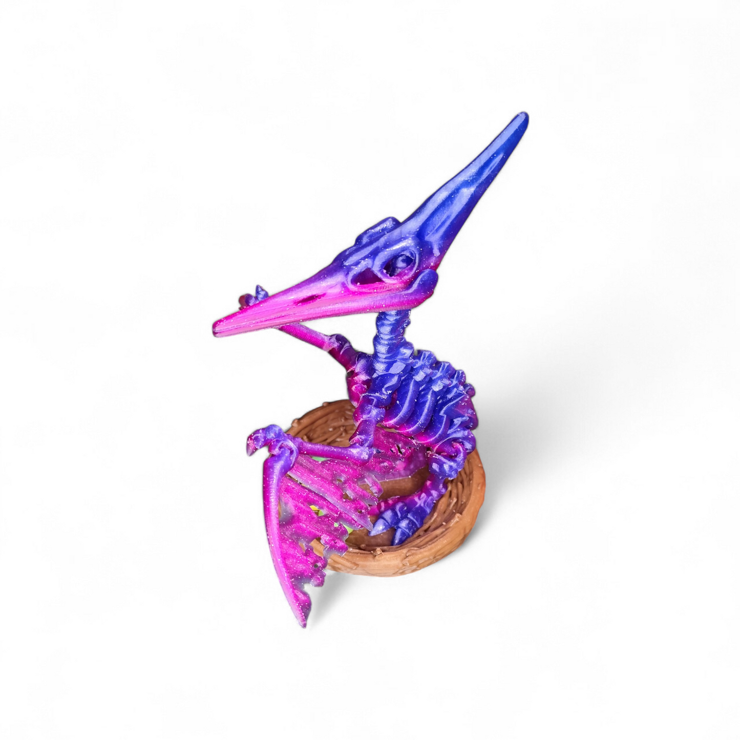 Skeleton Pteranodon with nest and eggs 3D