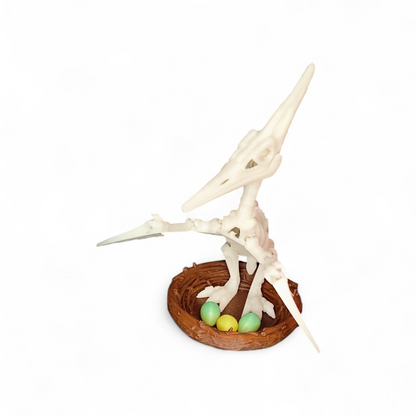 Skeleton Pteranodon with nest and eggs 3D