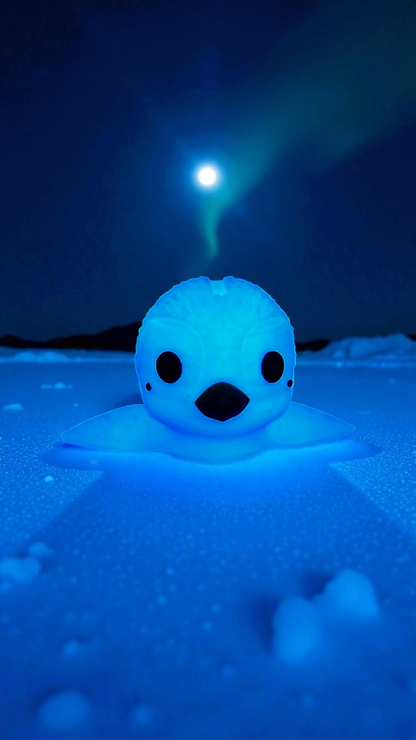 Cute penguin money box | Perfect gift