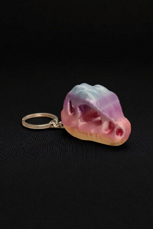 Trex Dinosaur Keychain 
