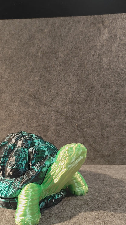 Turtle with secret shell