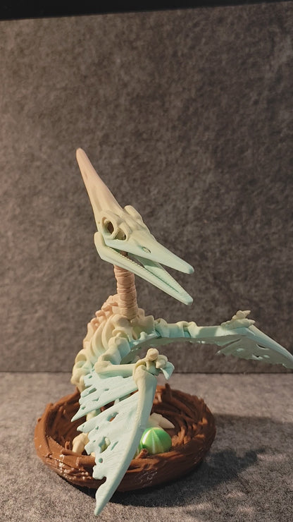 Skeleton Pteranodon with nest and eggs 3D