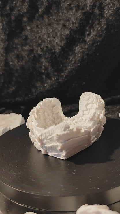 Ceramic wings used as a bowl or storage container